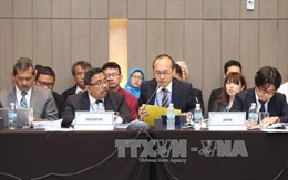 Các Ủy ban APEC trong Hội nghị SOM 1 và các cuộc họp liên quan họp phiên toàn thể 